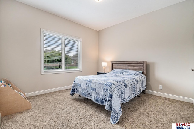 948 S 198th St, Omaha, NE 68022 - bedroom with carpet floors and baseboards