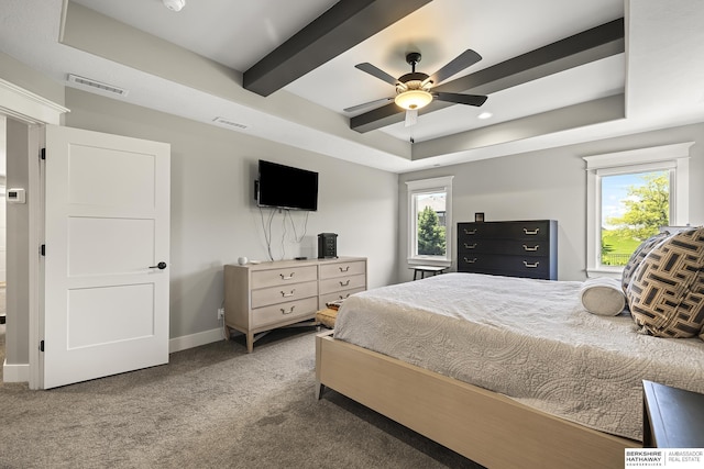 11412 S 122nd St, Papillion, NE 68046 - bedroom featuring a raised ceiling, carpet floors, ceiling fan, and baseboards