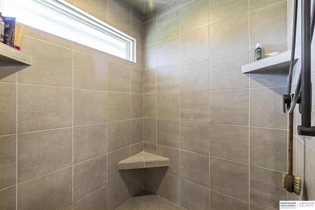 11412 S 122nd St, Papillion, NE 68046 - bathroom featuring a tile shower