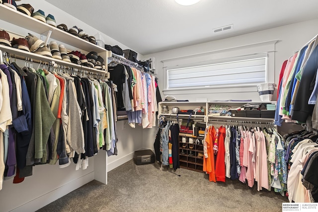 11412 S 122nd St, Papillion, NE 68046 - spacious closet with carpet