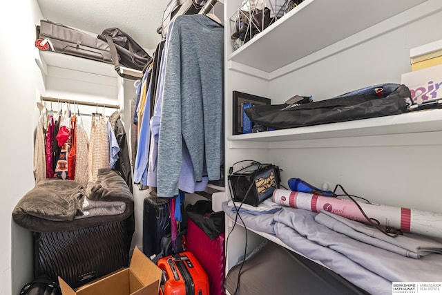 11412 S 122nd St, Papillion, NE 68046 - view of spacious closet