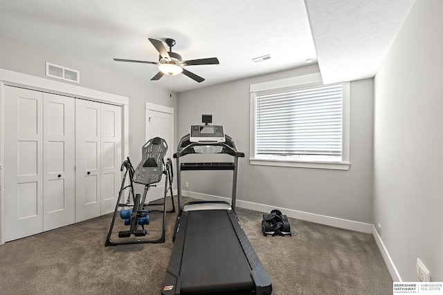 11412 S 122nd St, Papillion, NE 68046 - exercise area with carpet flooring, a ceiling fan, and baseboards