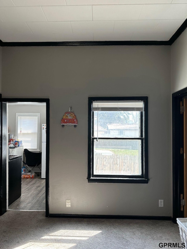 3941 X St, Omaha, NE 68107 - bedroom featuring crown molding, carpet floors, and baseboards