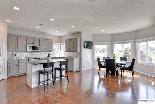 9901 S 176th St, Omaha, NE 68136 - kitchen featuring stainless steel appliances, gray cabinets, a textured ceiling, a kitchen bar, and tasteful backsplash