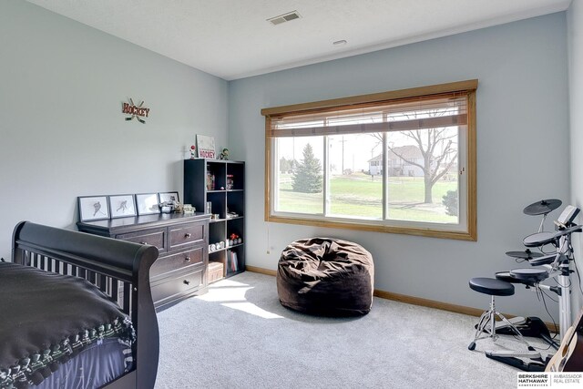 9901 S 176th St, Omaha, NE 68136 - bedroom with carpet and baseboards