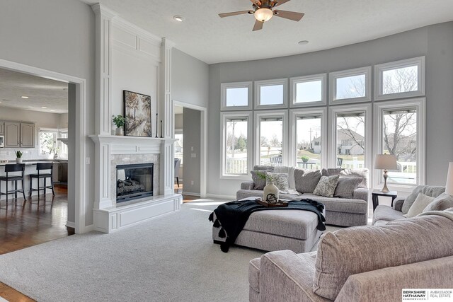 9901 S 176th St, Omaha, NE 68136 - living room featuring ceiling fan, plenty of natural light, a large fireplace, and baseboards