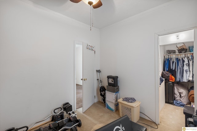 workout room featuring light carpet, ceiling fan, and ornamental molding