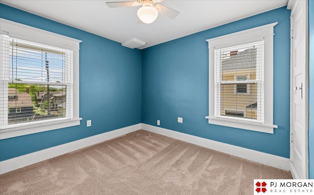 5107 Cuming St, Omaha, NE 68132 - unfurnished room with plenty of natural light, carpet flooring, and baseboards