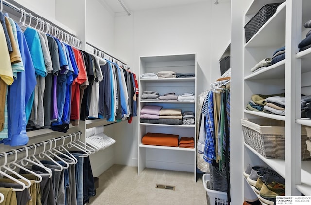 4803 N 192nd Ave, Elkhorn, NE 68022 - walk in closet with carpet