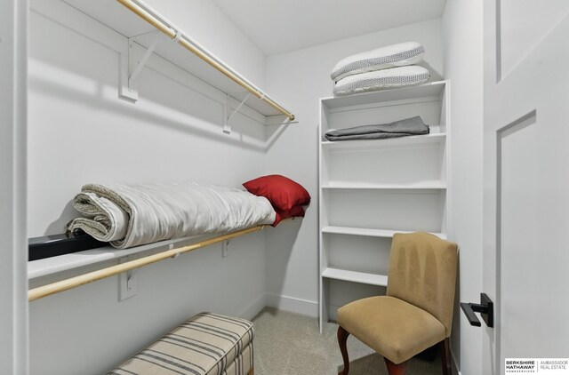 4803 N 192nd Ave, Elkhorn, NE 68022 - walk in closet featuring carpet flooring
