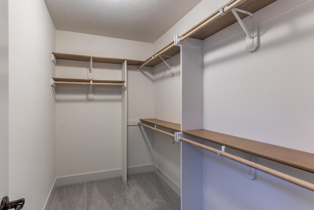 walk in closet featuring carpet