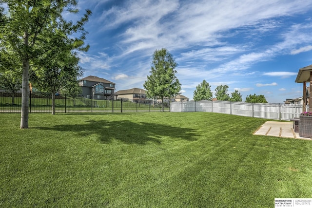 view of yard featuring a patio