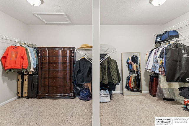 8917 N 157th St, Bennington, NE 68007 - spacious closet with attic access and carpet