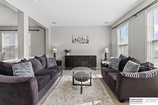 8917 N 157th St, Bennington, NE 68007 - carpeted living area with baseboards