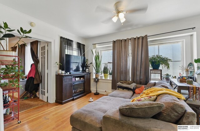 401 S 38th Ave, Omaha, NE 68131 - living area featuring a ceiling fan, light wood finished floors, and crown molding