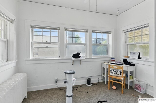 401 S 38th Ave, Omaha, NE 68131 - workout area with radiator heating unit, carpet floors, and baseboards