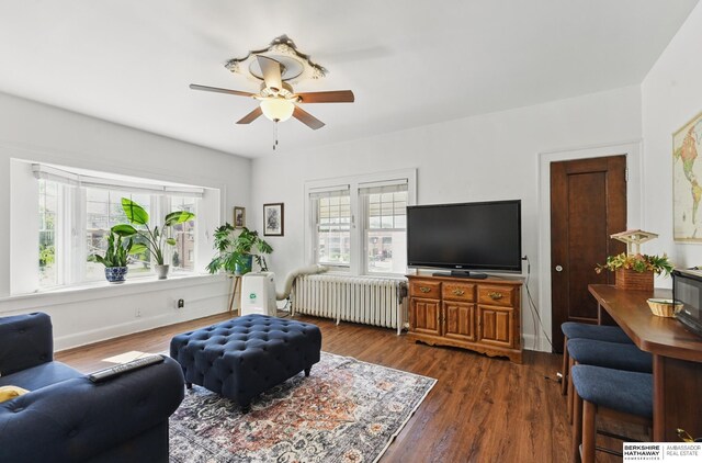 401 S 38th Ave, Omaha, NE 68131 - living room featuring radiator heating unit, a ceiling fan, and dark wood-type flooring