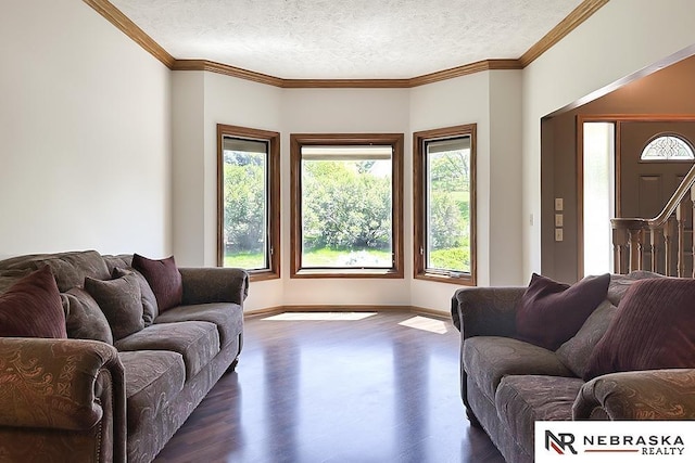 living room with healthy amount of natural light, dark wood-style floors, a textured ceiling, baseboards, and ornamental molding