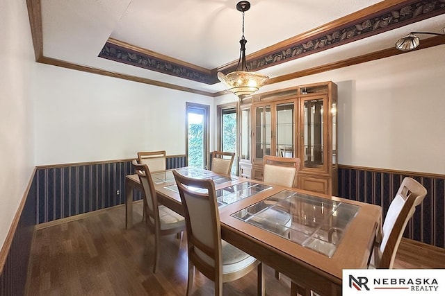 dining area with ornamental molding, wainscoting, wood finished floors, and a raised ceiling