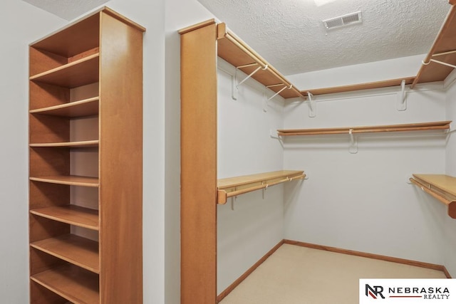 walk in closet with carpet