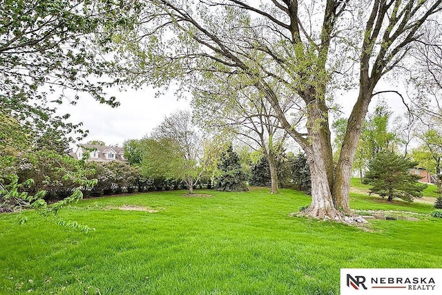 view of grassy yard