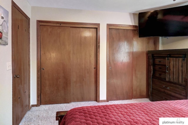 13253 Josephine St, Omaha, NE 68138 - carpeted bedroom featuring multiple closets