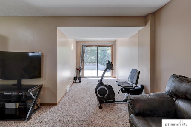 13253 Josephine St, Omaha, NE 68138 - workout room featuring carpet and baseboards