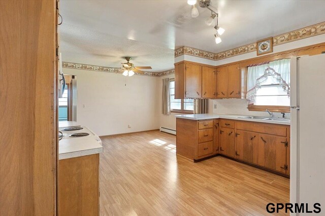 kitchen with freestanding refrigerator, a sink, light countertops, and healthy amount of natural light