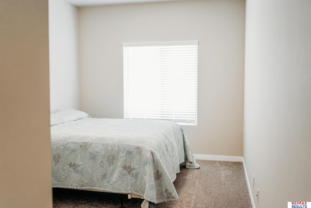 7202 N 167th Ave, Bennington, NE 68007 - bedroom featuring carpet, multiple windows, and baseboards