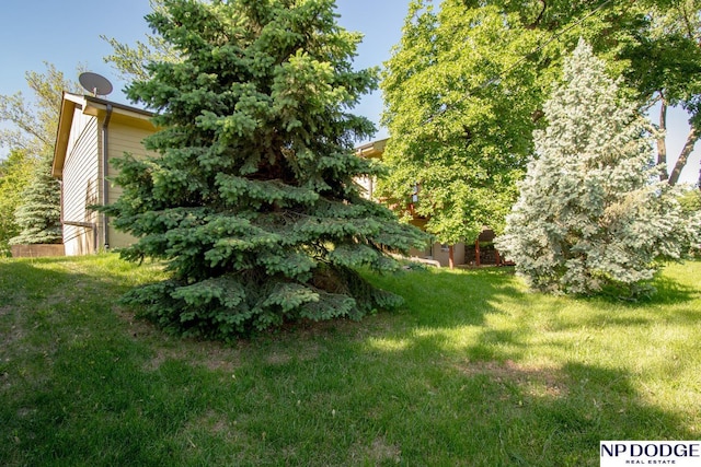 2352 Lincoln St, Blair, NE 68008 - view of green lawn