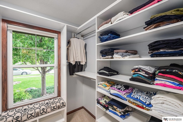 2705 N 189th St, Omaha, NE 68022 - spacious closet featuring light carpet