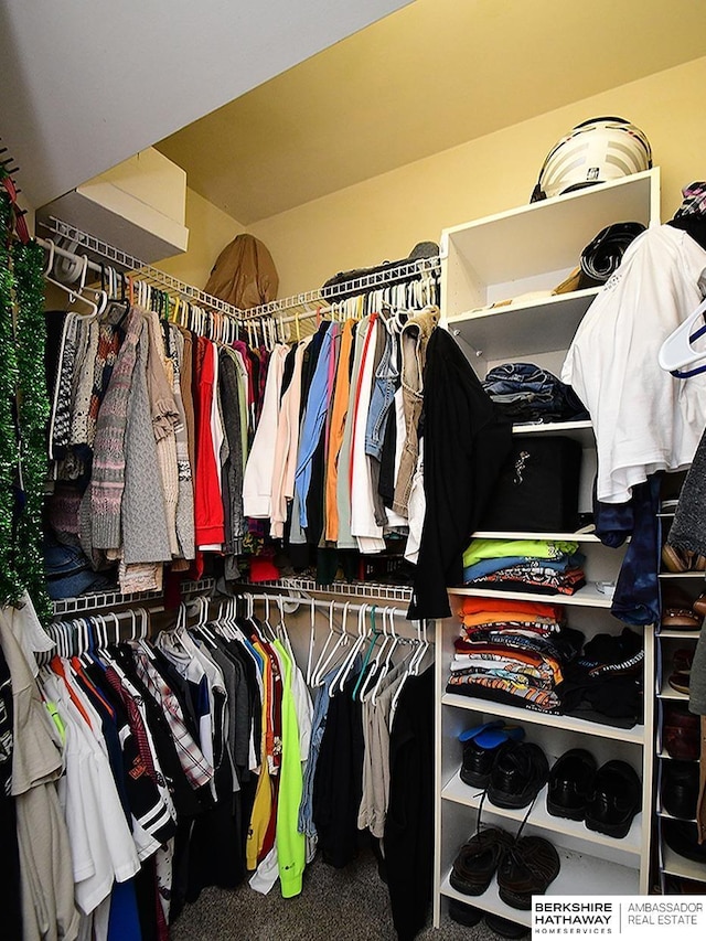 17207 Hickory Plz, Omaha, NE 68130 - spacious closet featuring carpet flooring