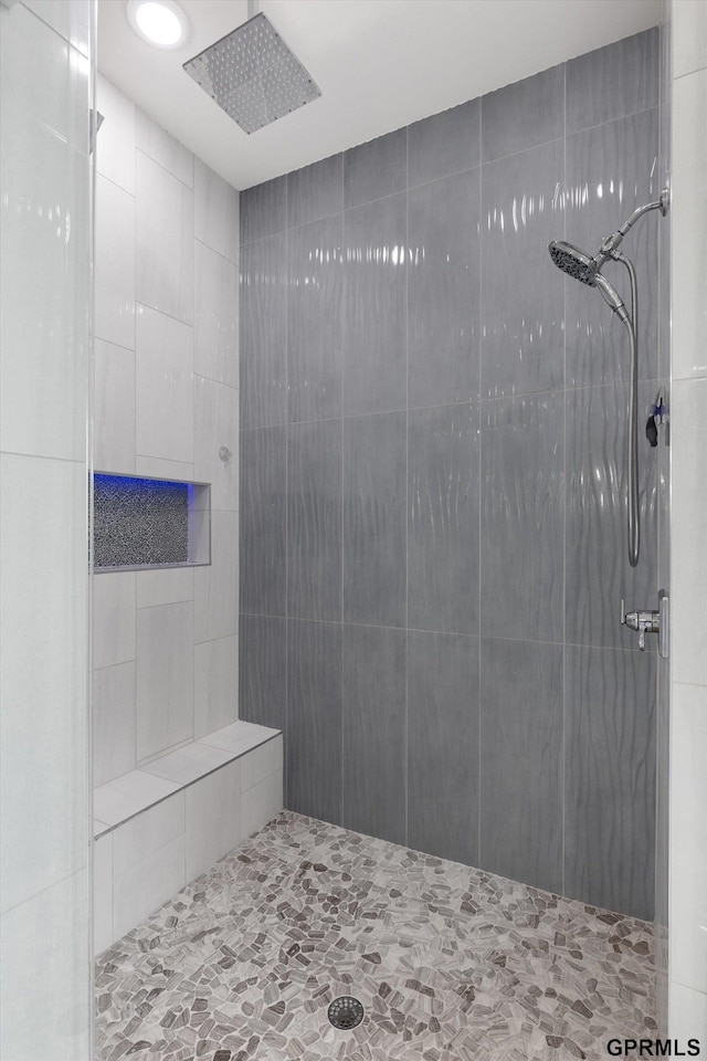 12604 N 178th Cir, Bennington, NE 68007 - bathroom with a tile shower