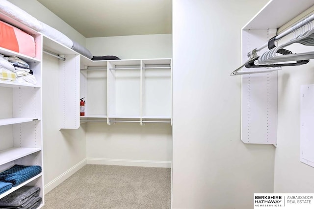 210 S 16th St S Unit 918, Omaha, NE 68102 - walk in closet with carpet flooring