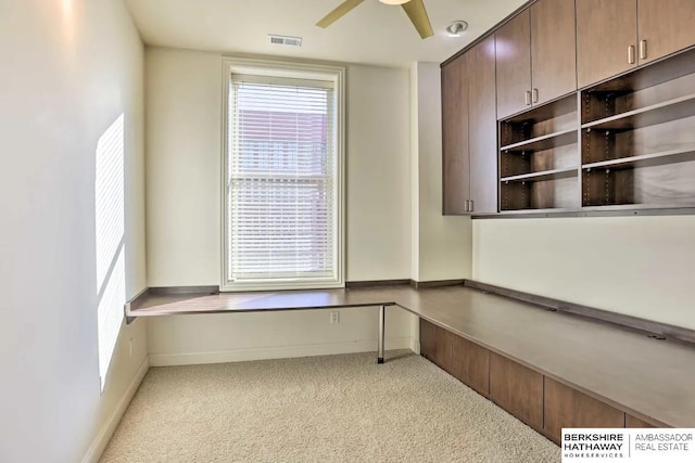 210 S 16th St S Unit 918, Omaha, NE 68102 - unfurnished office featuring carpet, a ceiling fan, baseboards, and plenty of natural light