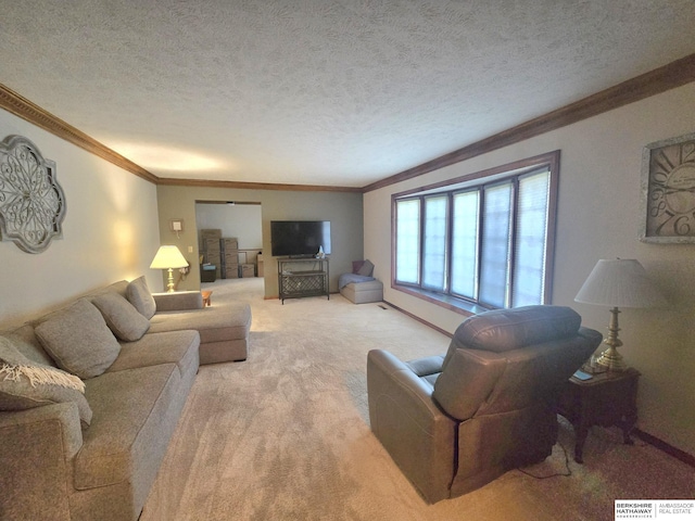 1924 W 8th Ave, Plattsmouth, NE 68048 - living area featuring crown molding, a textured ceiling, and light carpet
