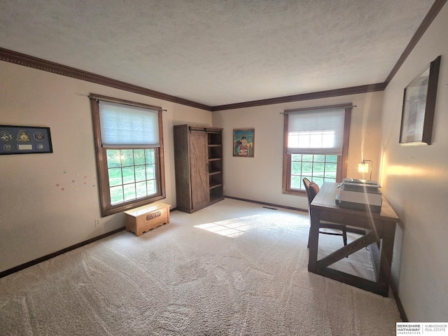 1924 W 8th Ave, Plattsmouth, NE 68048 - home office with light carpet, baseboards, a textured ceiling, and ornamental molding