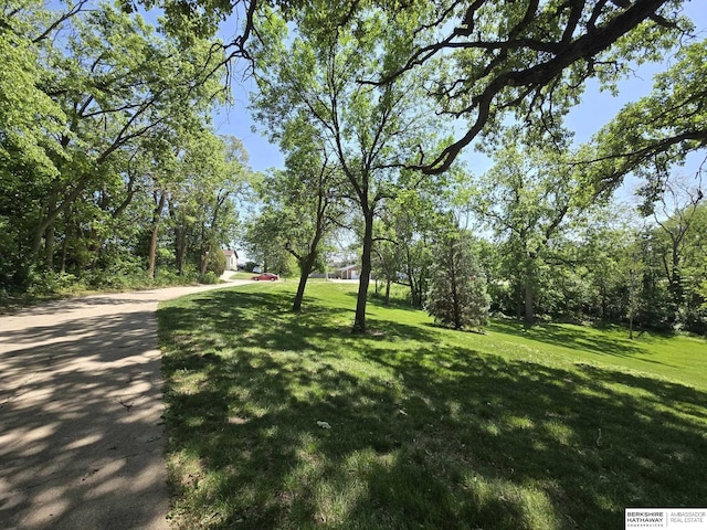 1924 W 8th Ave, Plattsmouth, NE 68048 - view of green lawn