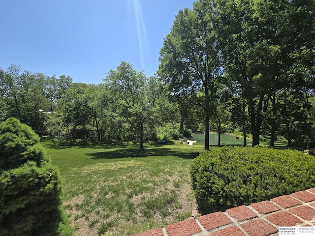 1924 W 8th Ave, Plattsmouth, NE 68048 - view of green lawn