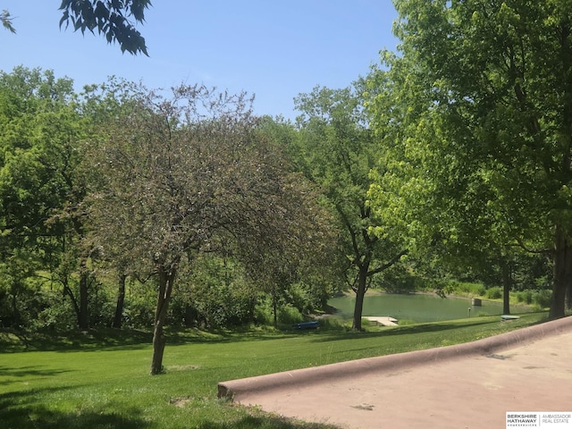 1924 W 8th Ave, Plattsmouth, NE 68048 - view of property's community with a yard and a water view