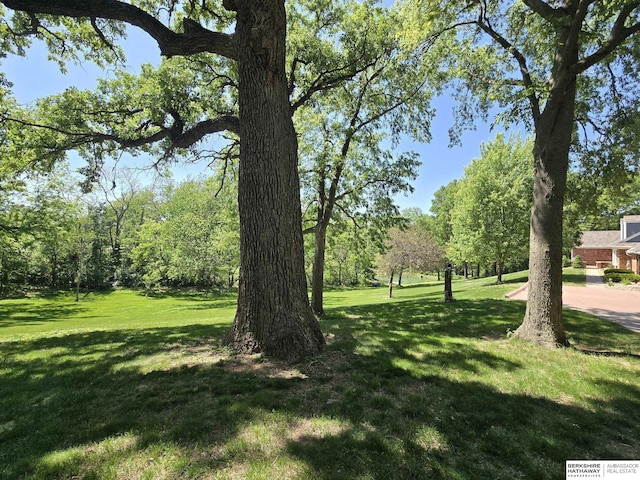 1924 W 8th Ave, Plattsmouth, NE 68048 - view of grassy yard