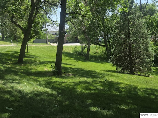 1924 W 8th Ave, Plattsmouth, NE 68048 - view of grassy yard