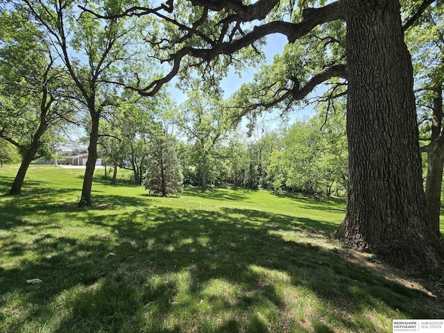 1924 W 8th Ave, Plattsmouth, NE 68048 - view of grassy yard