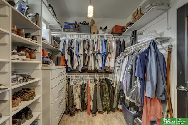 walk in closet with light wood-type flooring