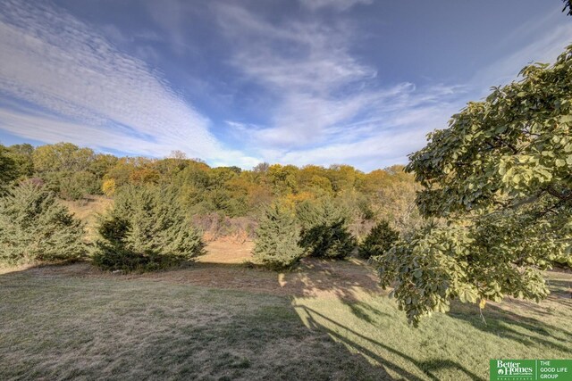 view of green lawn featuring a view of trees