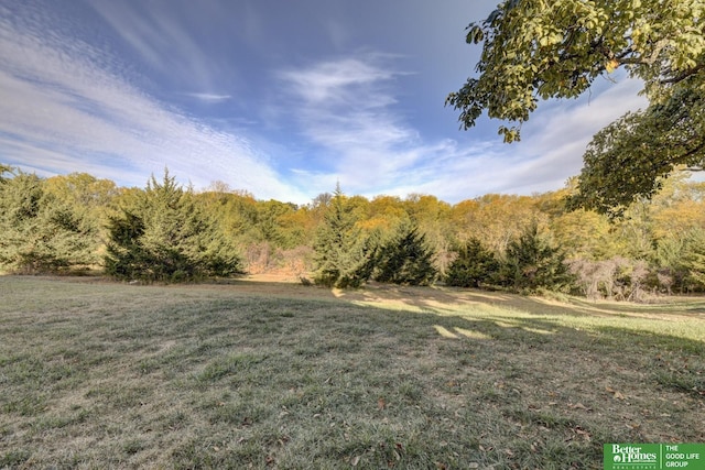 view of green lawn with a view of trees