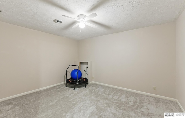 17819 Nicholas Rd, Plattsmouth, NE 68048 - workout room featuring carpet flooring, a ceiling fan, baseboards, and a textured ceiling