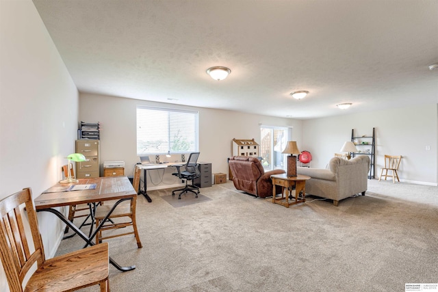 home office featuring light colored carpet
