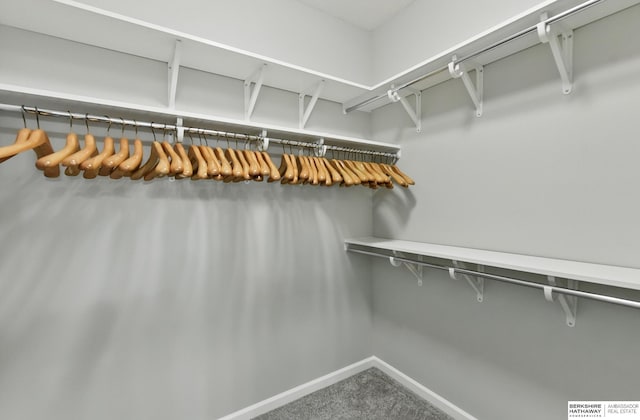 10280 S 209th St, Gretna, NE 68028 - spacious closet with carpet flooring