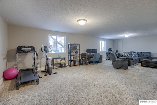2310 Acorn Dr, Plattsmouth, NE 68048 - workout area with a textured ceiling, carpet floors, and baseboards